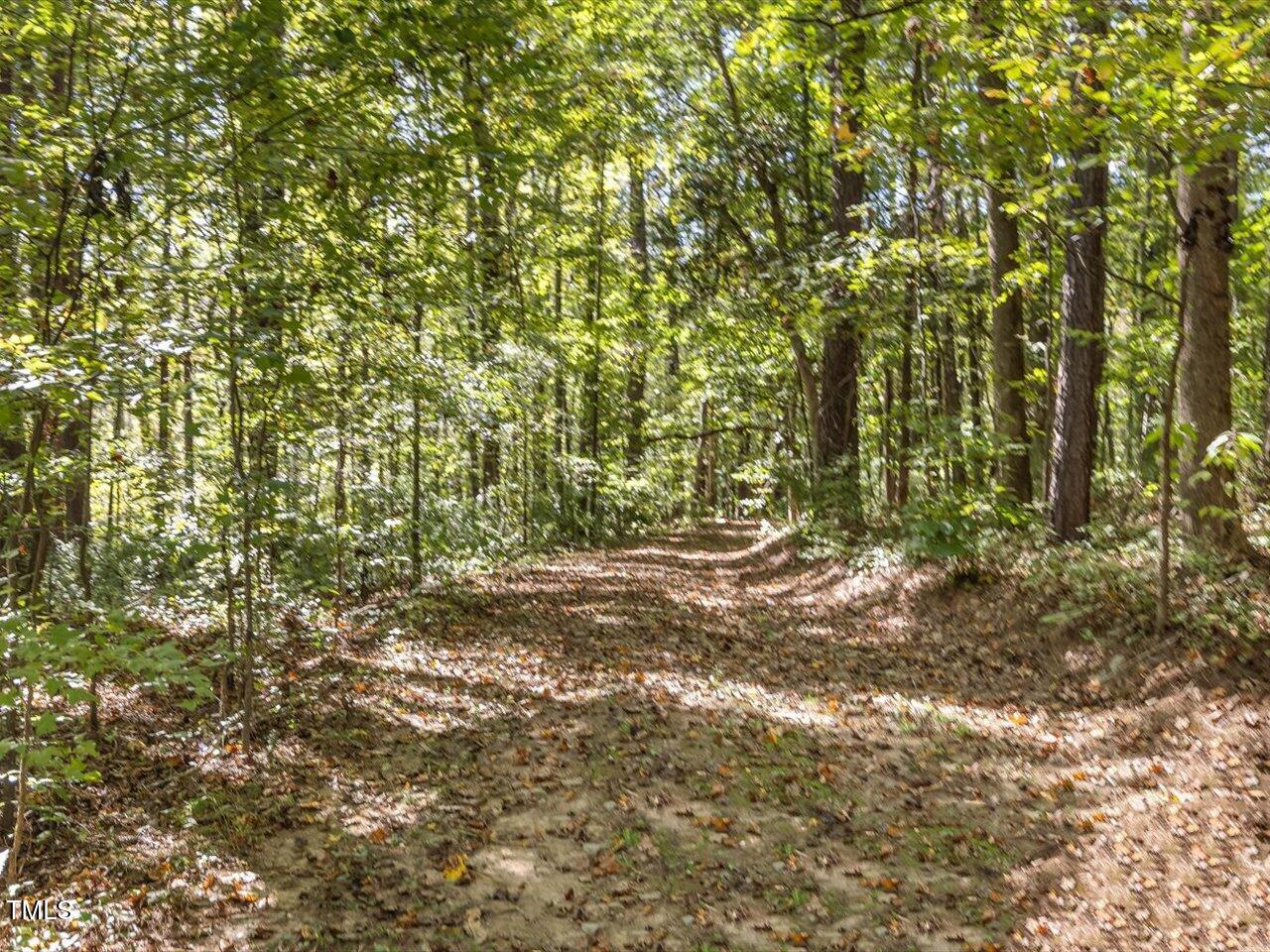 281 Karen Calhoun Road Pittsboro, NC 27312 - Photo 13 of 14 24-024-KarenCalhounRd-Chatham-Parcel-295