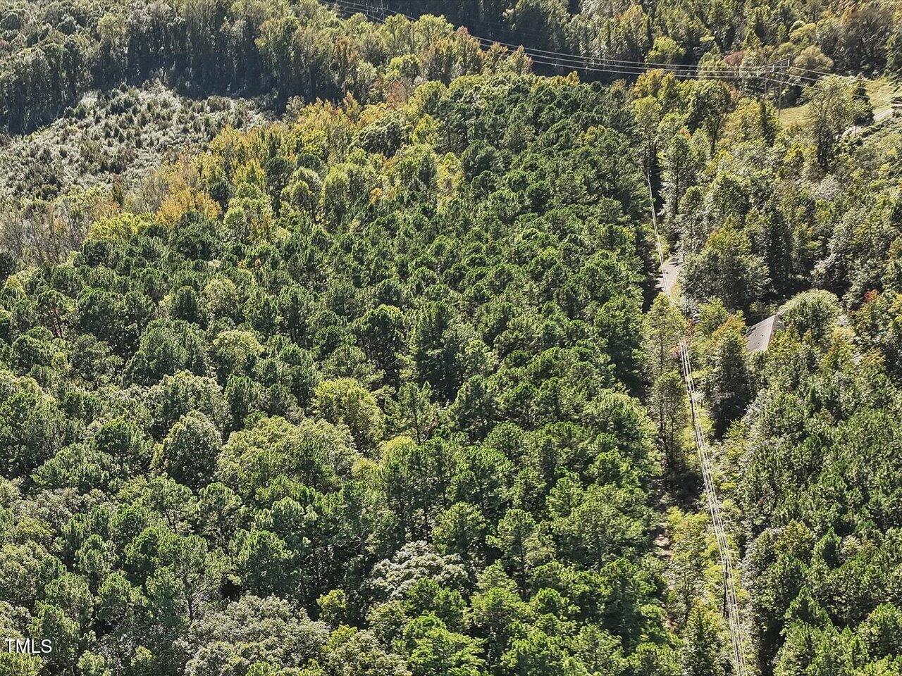 281 Karen Calhoun Road Pittsboro, NC 27312 - Photo 4 of 14 08-008-KarenCalhounRd-Chatham-Parcel-729