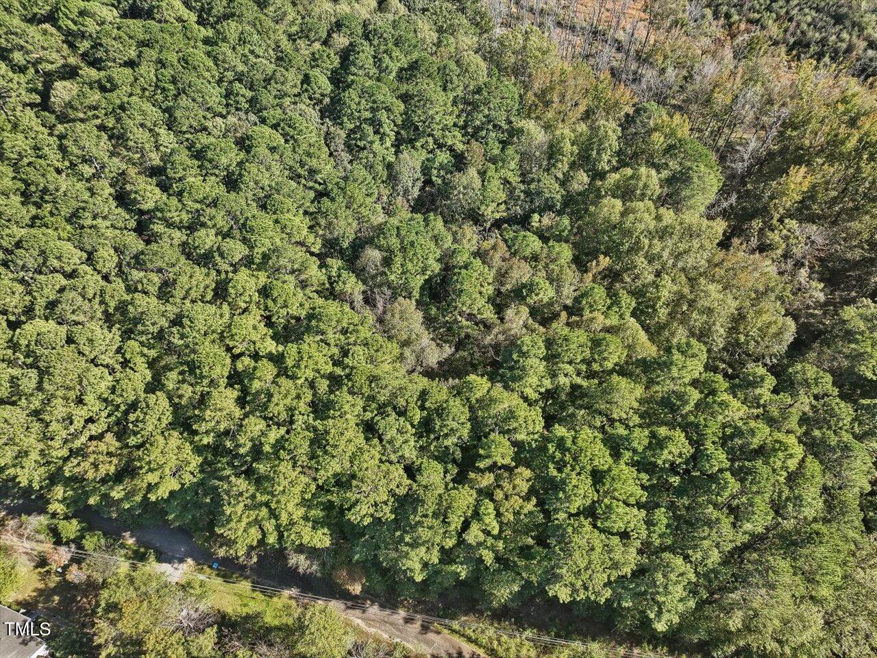 281 Karen Calhoun Road Pittsboro, NC 27312 - Photo 5 of 14 09-009-KarenCalhounRd-Chatham-Parcel-729