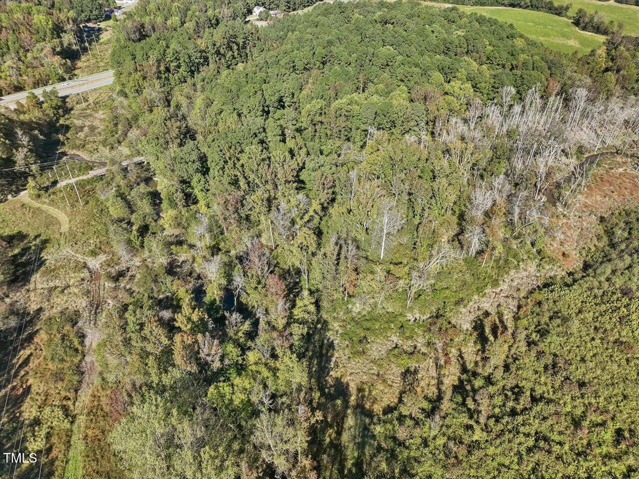 281 Karen Calhoun Road Pittsboro, NC 27312 - Photo 9 of 14 04-004-KarenCalhounRd-Chatham-Parcel-729