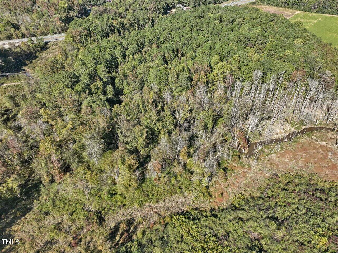 281 Karen Calhoun Road Pittsboro, NC 27312 - Photo 10 of 14 05-005-KarenCalhounRd-Chatham-Parcel-729