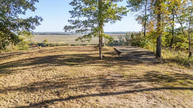a view of a yard with an trees