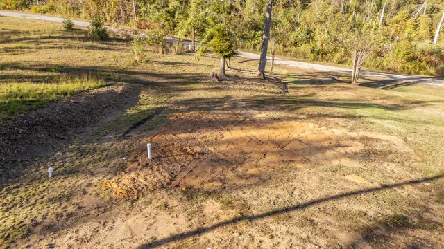 a view of yard with large trees