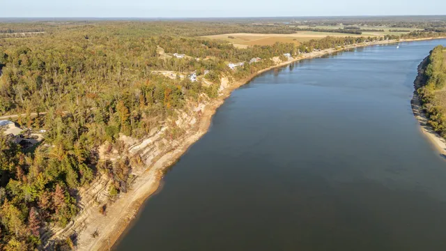 a close up of a plant