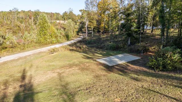 a view of yard with swimming pool and trees in the background