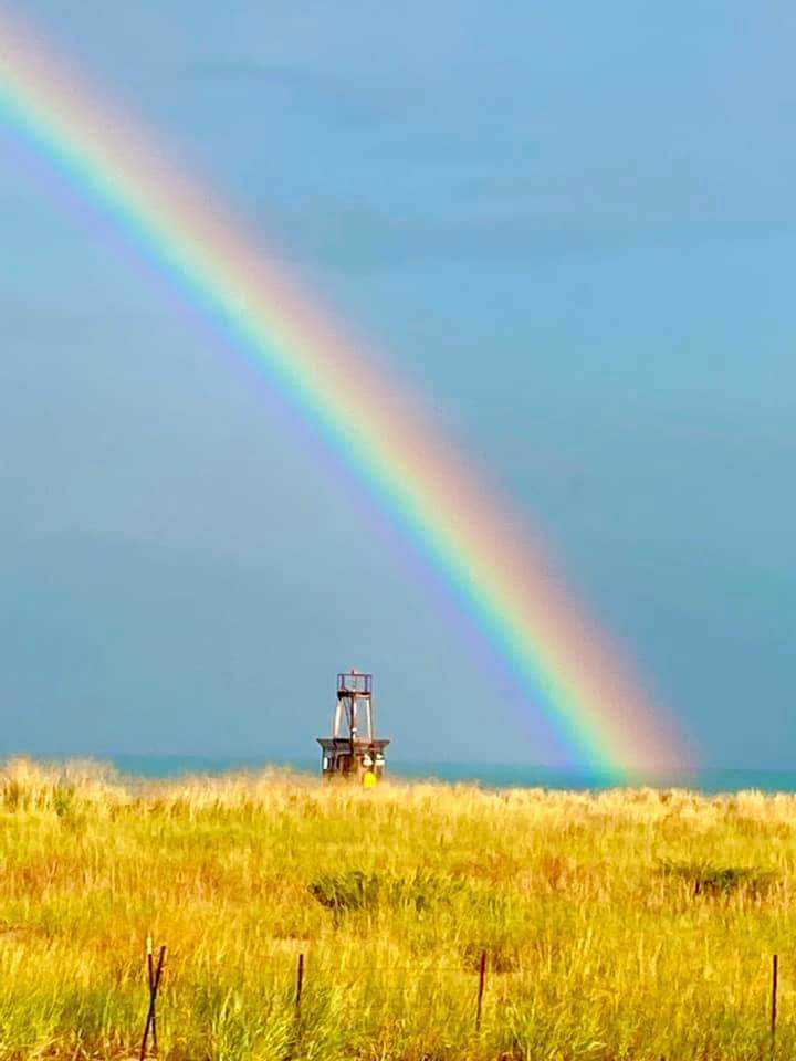 1244 West Arthur Avenue, Unit 2 Chicago, IL 60626 - Photo 24 of 25 a view of an ocean