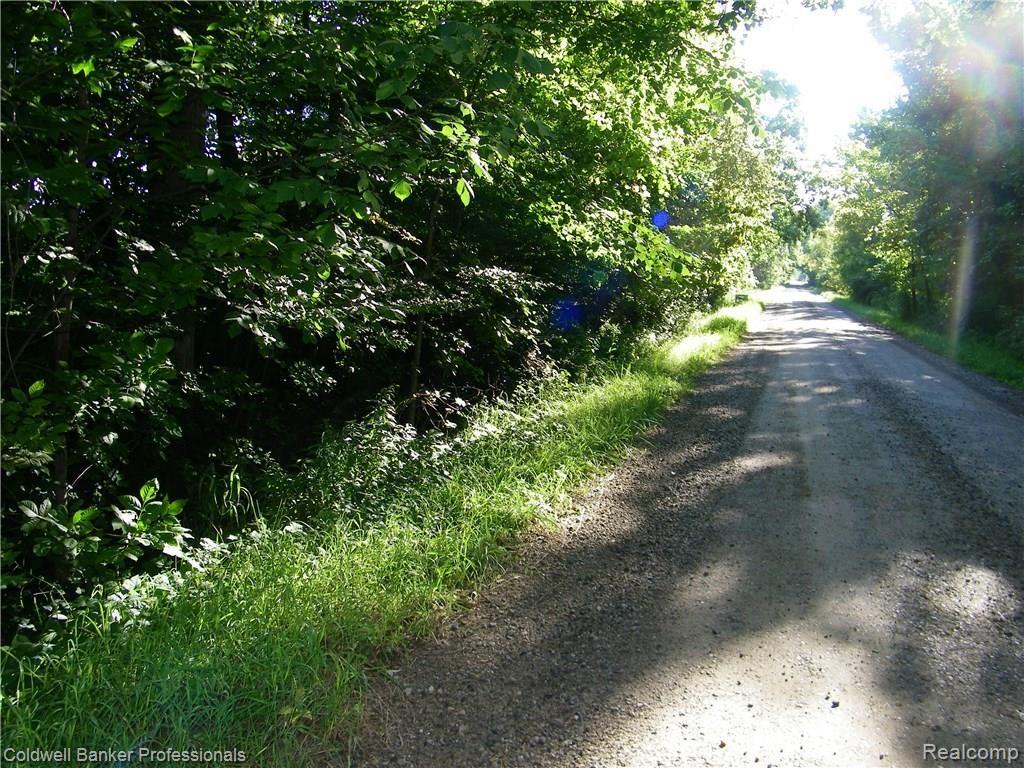 Par 1 Dodds Road North Branch, MI 48461 - Photo 5 of 7