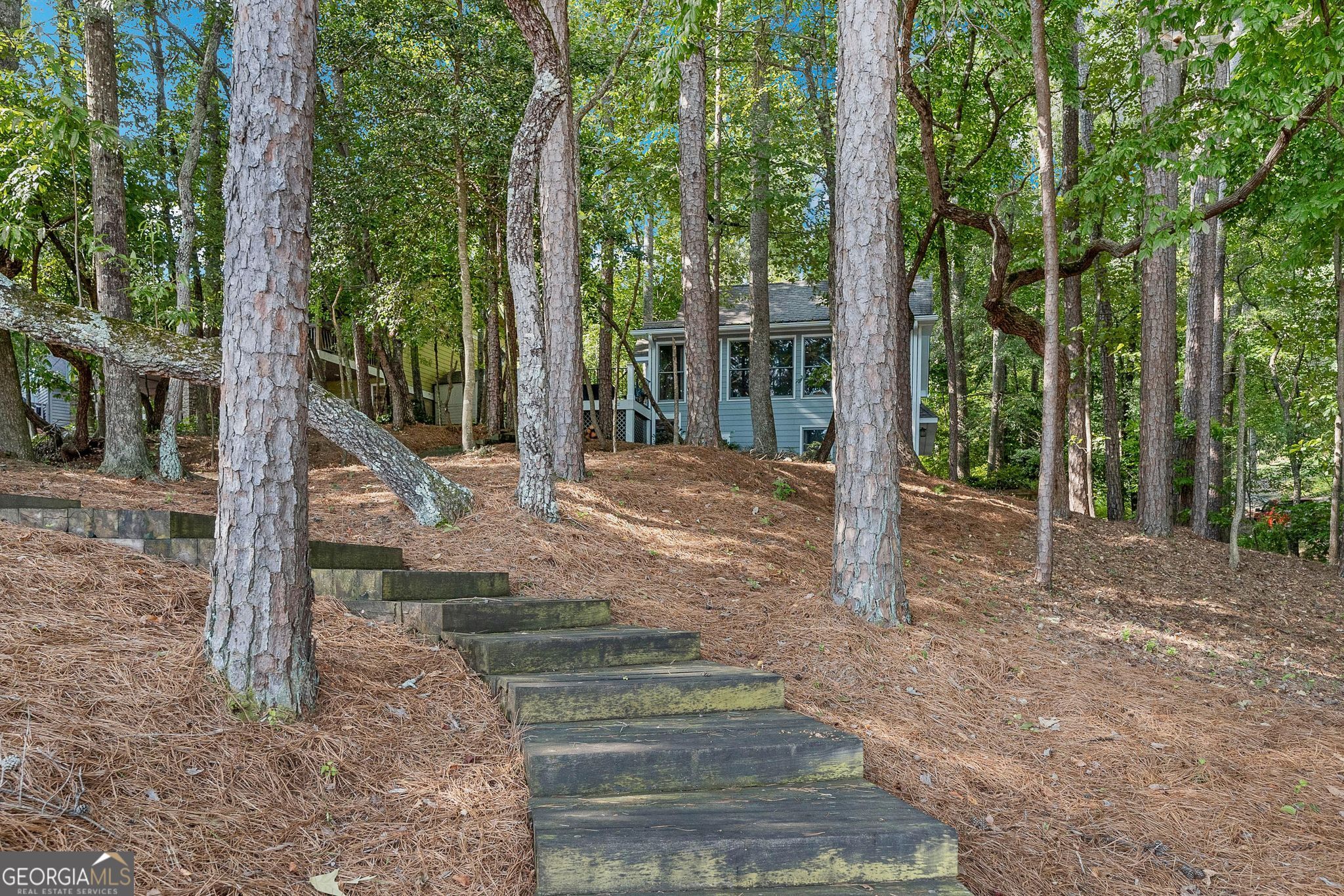 455 Chase Landing Martin, GA 30557 - Photo 17 of 37 a view of a park with large trees
