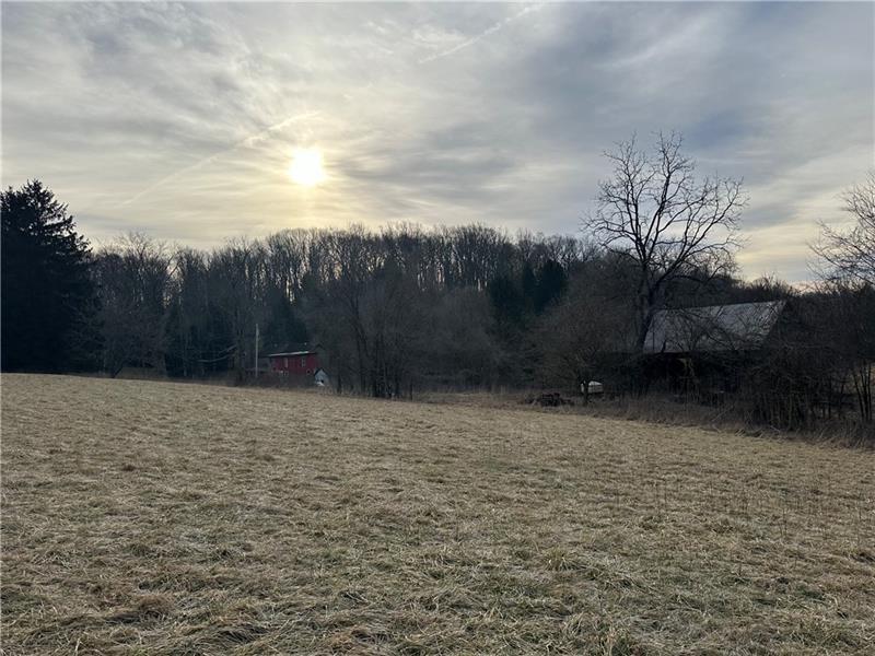 286 Dally Road Coal Center, PA 15423 - Photo 15 of 16 a view of a backyard