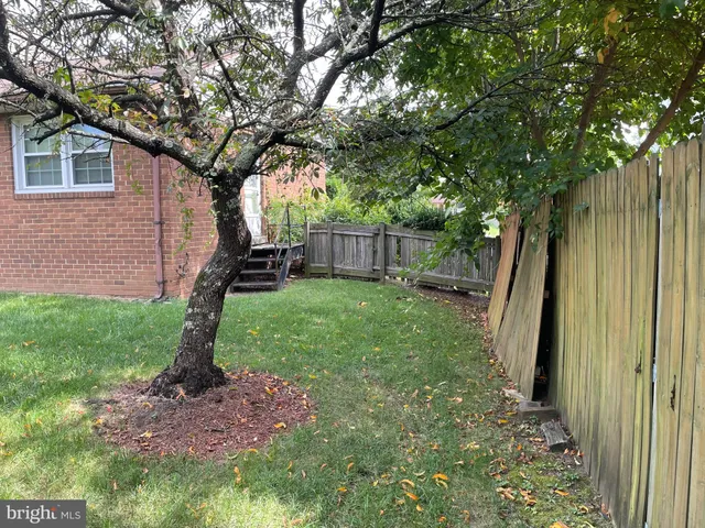 a view of a backyard with a tree