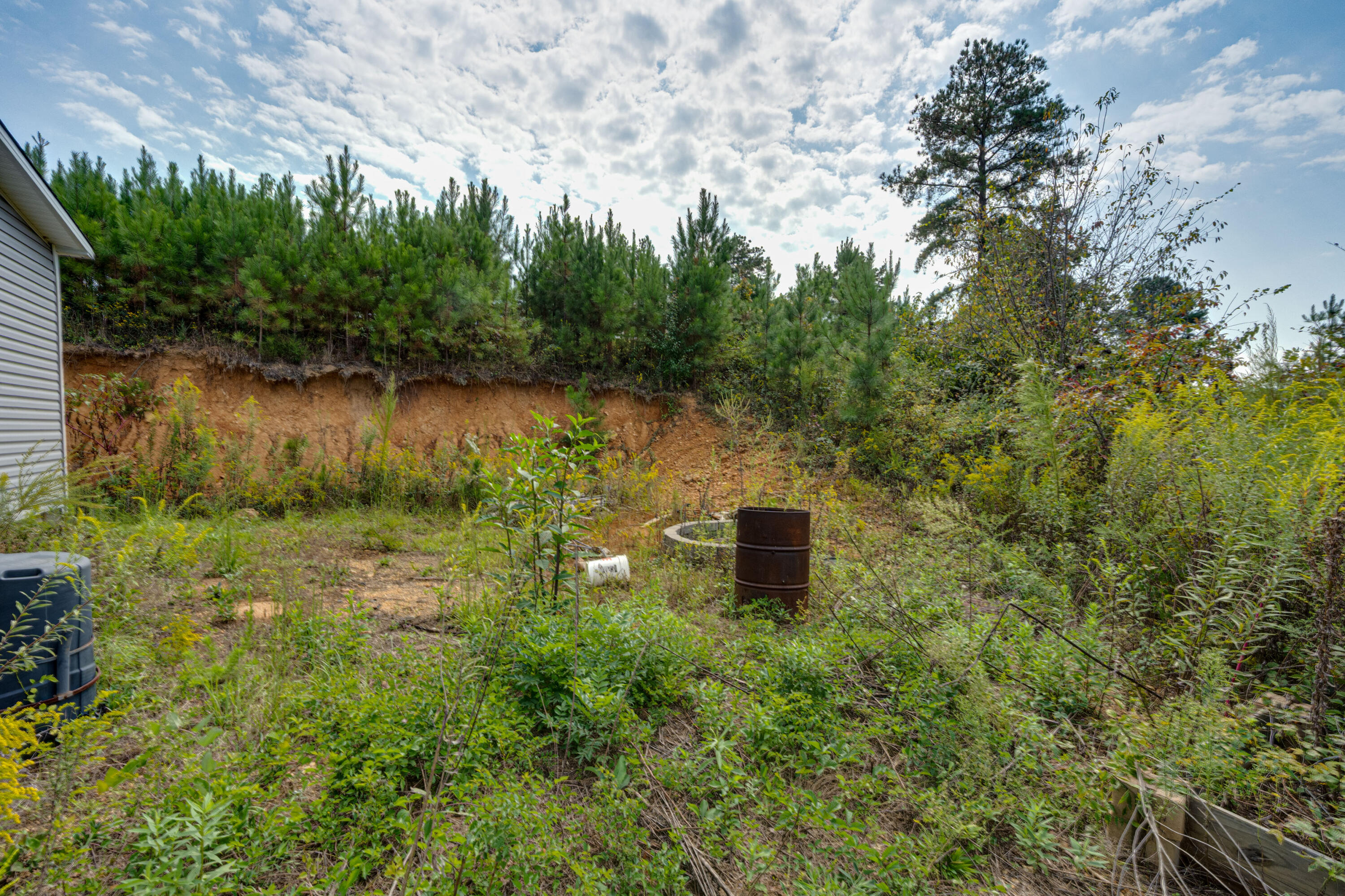 6980 Cottonport Road Decatur, TN 37322 - Photo 22 of 25 29-6980 Cottonport Rd-29
