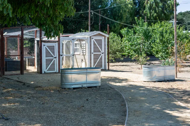 a view of backyard with deck