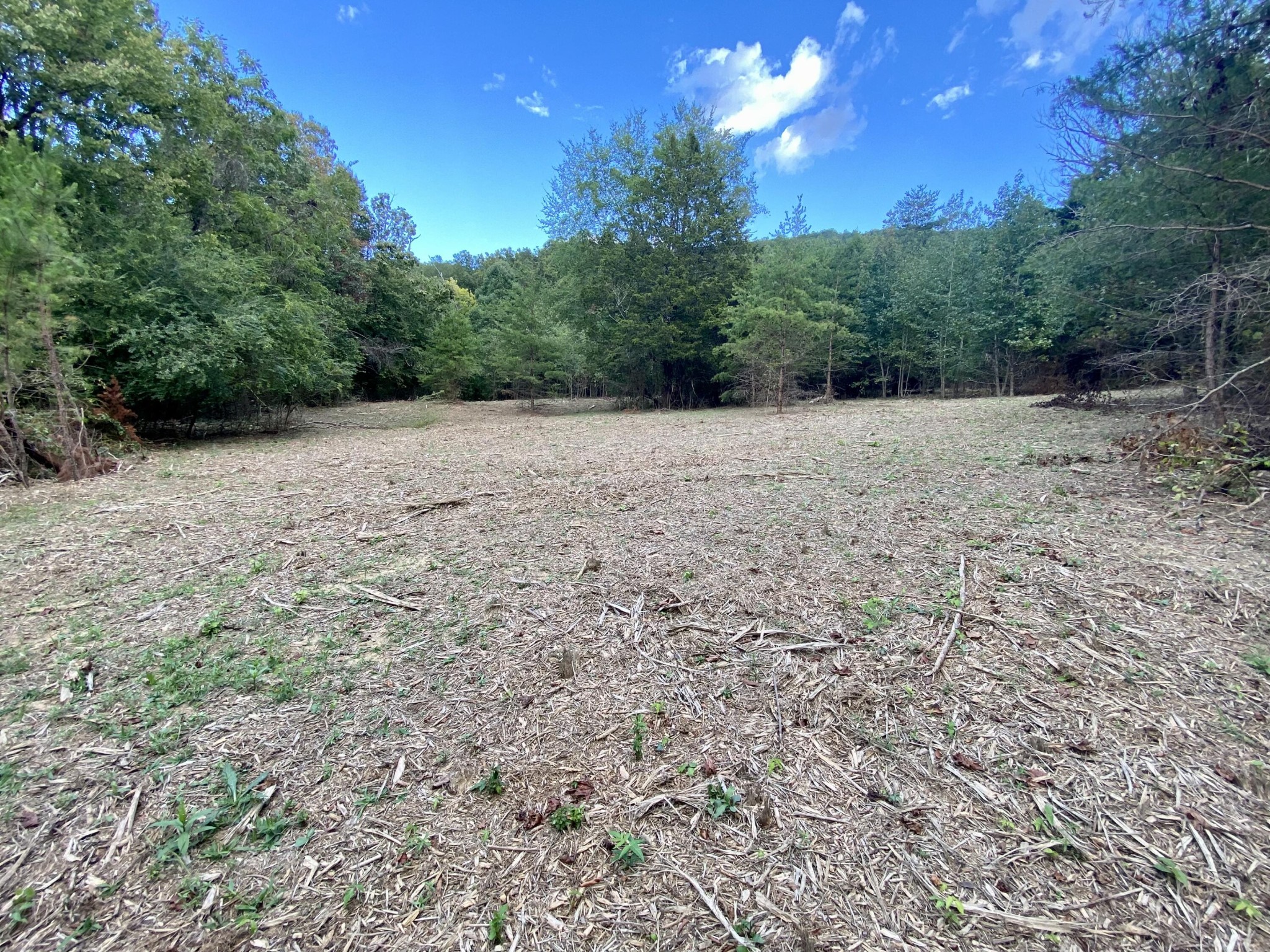 0 Graham Road Dunlap, TN 37327 - Photo 6 of 8 Gallery Image 6
