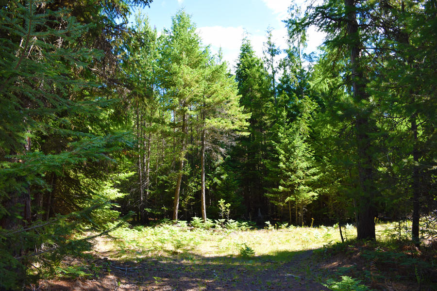 6 Hidden Place Bonners Ferry, ID 83805 - Photo 1 of 1 Main