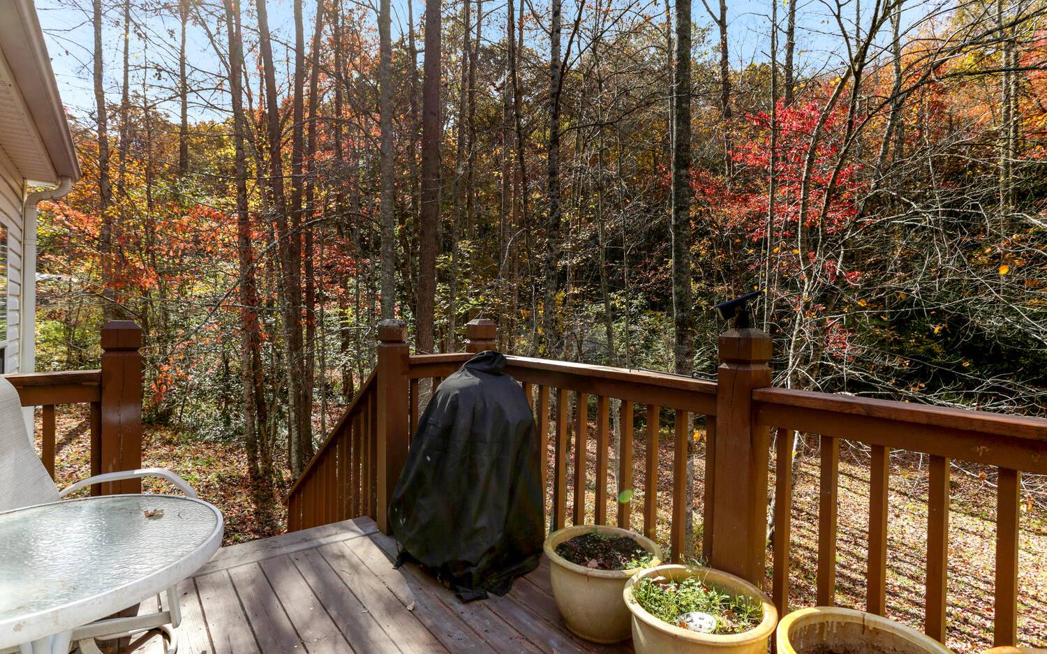 175 Shuler Mountain Road Murphy, NC 28906 - Photo 23 of 28 Additional View
