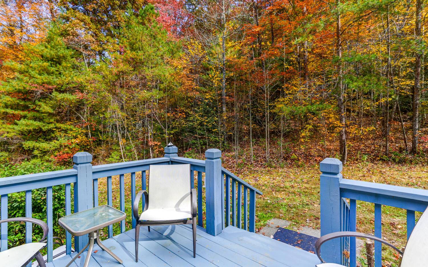 175 Shuler Mountain Road Murphy, NC 28906 - Photo 8 of 28 Additional View