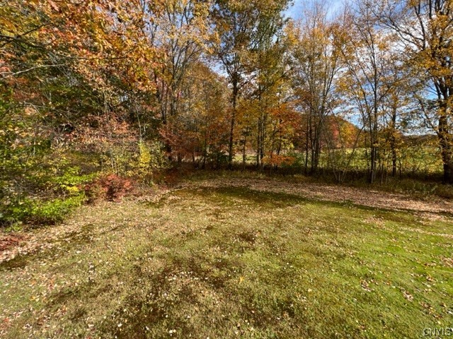 72 Marsden Road Constantia, NY 13028 - Photo 19 of 29