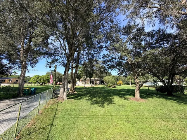 a view of a park with large trees