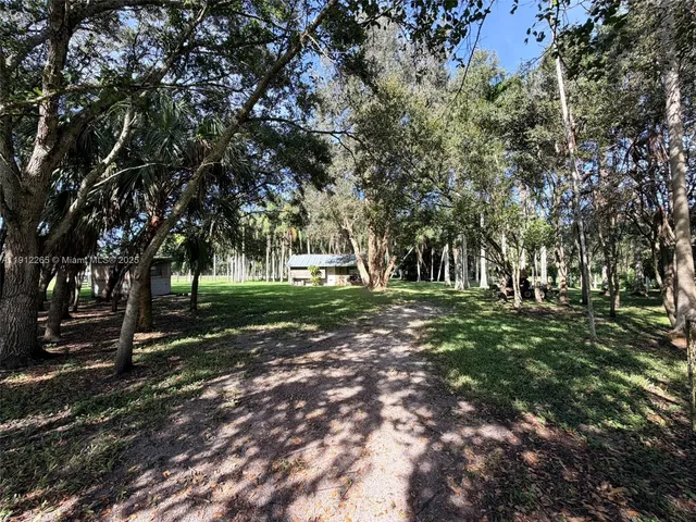 a view of a park with tree s