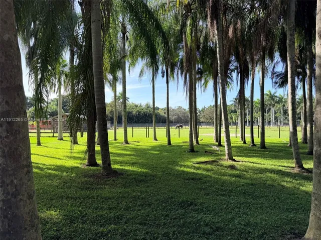 a view of a park with a big yard