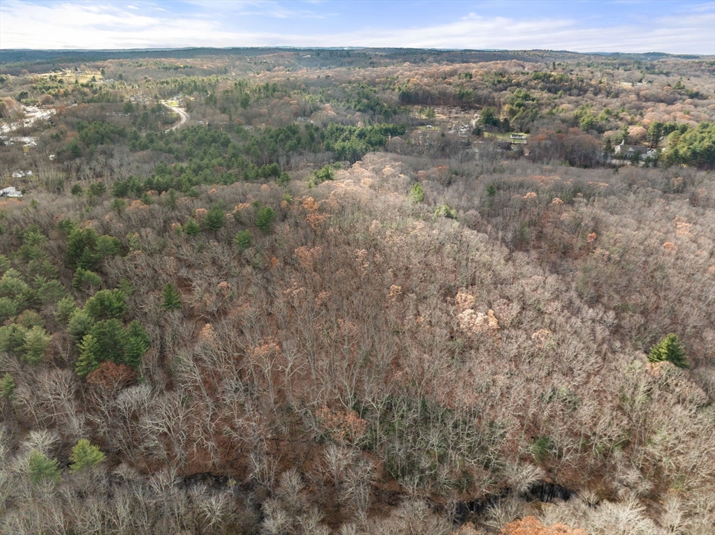 0 Hammond Hill Road Charlton, MA 01507 - Photo 16 of 24 a view of a forest with trees in the background