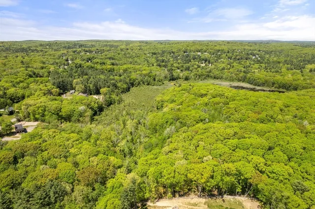 a view of a big yard with plants and large trees