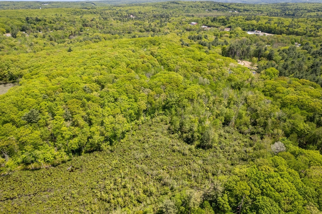 0 Hammond Hill Road Charlton, MA 01507 - Photo 24 of 24 a view of a big yard with plants and large trees