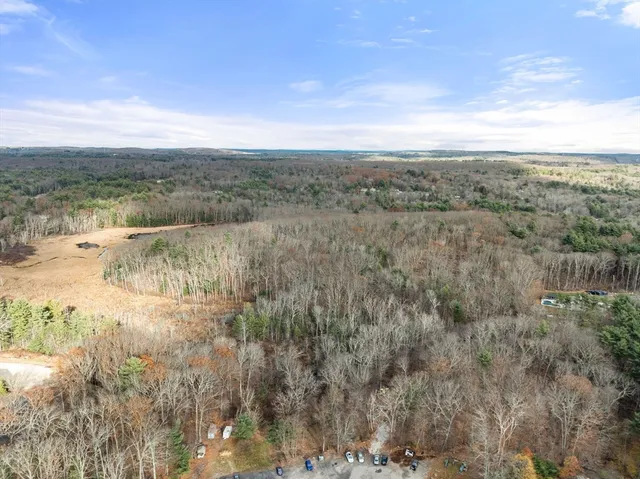 a view of a yard with an trees