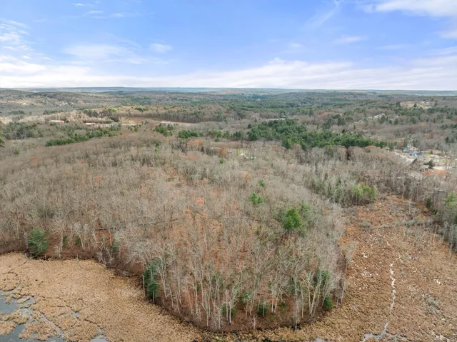 an aerial view of forest