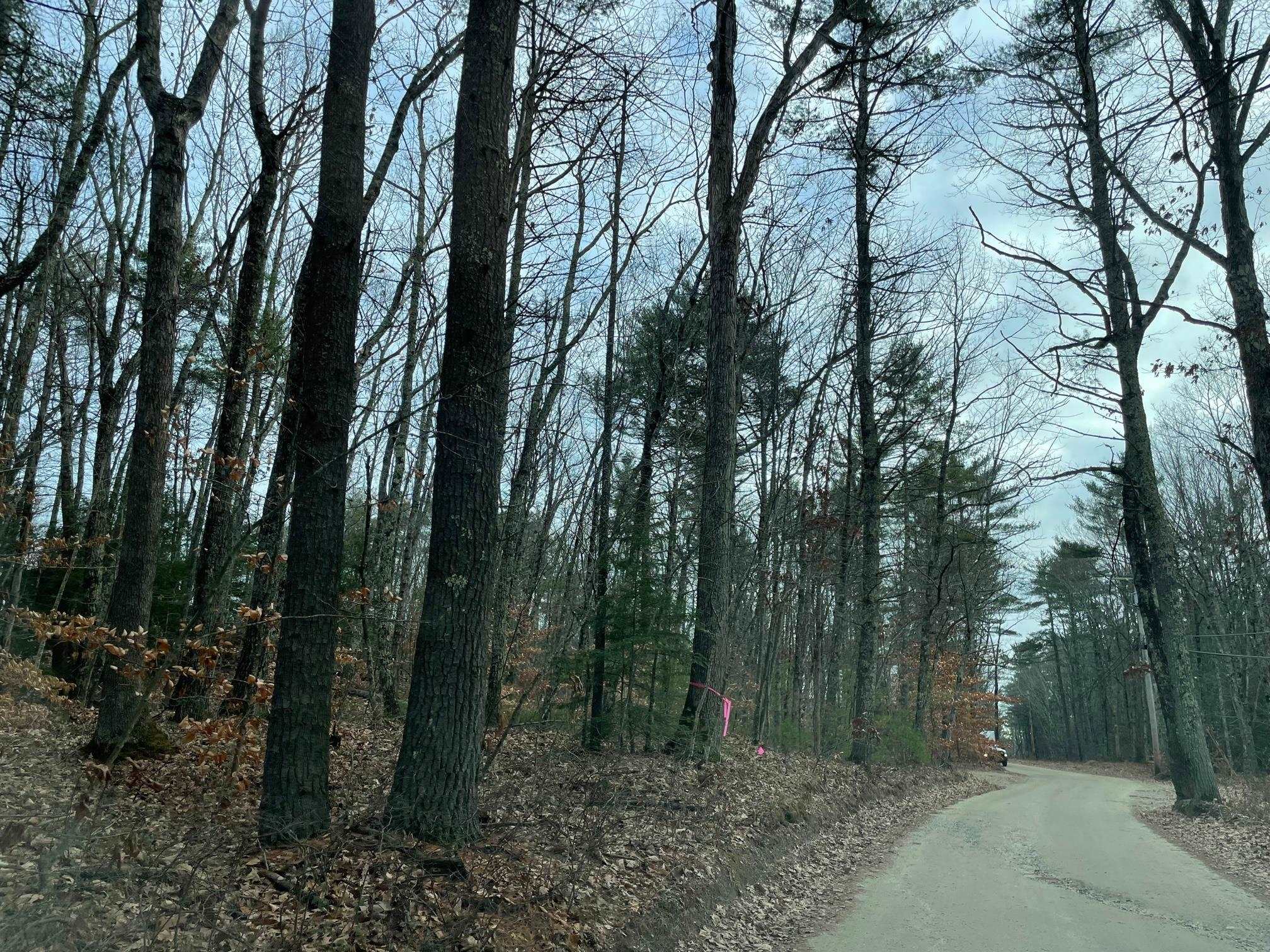 Lot 3 Meindl Road Nottingham, NH 03290 - Photo 5 of 5