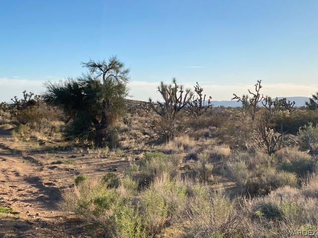 0 Goldmine Yucca, AZ 86438 - Photo 2 of 8 a view of a dry yard with trees and stairs