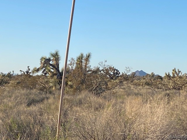0 Goldmine Yucca, AZ 86438 - Photo 4 of 8 a view of a dry yard