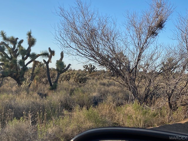 0 Goldmine Yucca, AZ 86438 - Photo 6 of 8 a view of a yard