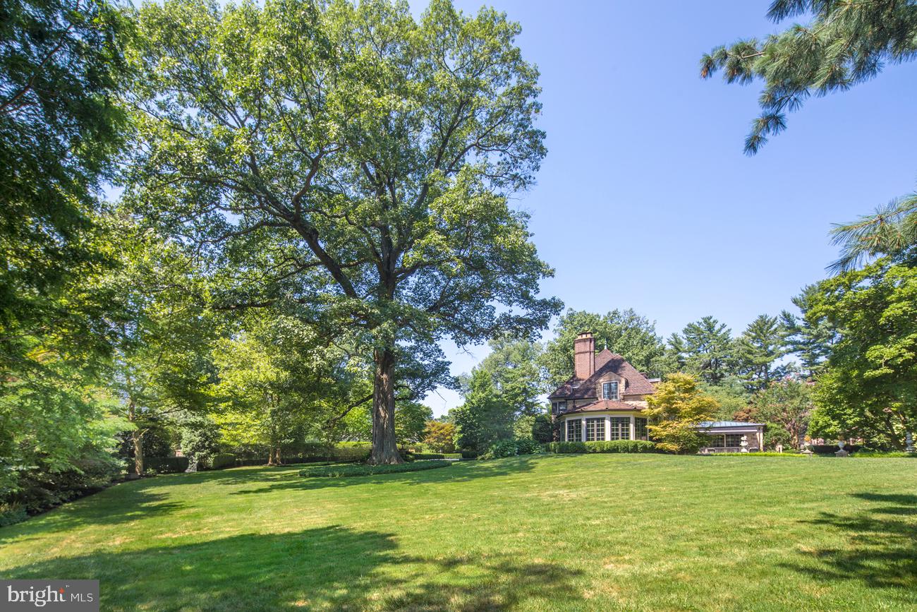 1241 Ridgewood Road Bryn Mawr, PA 19010 - Photo 4 of 17 Yard