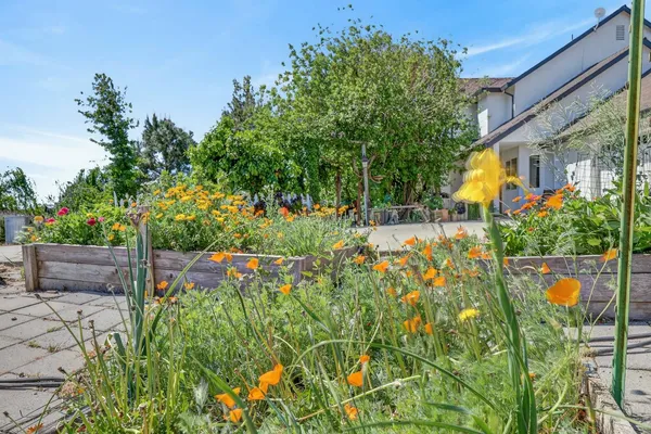 $799,000 | 7211 County Road 99W, Woodland, CA 95695