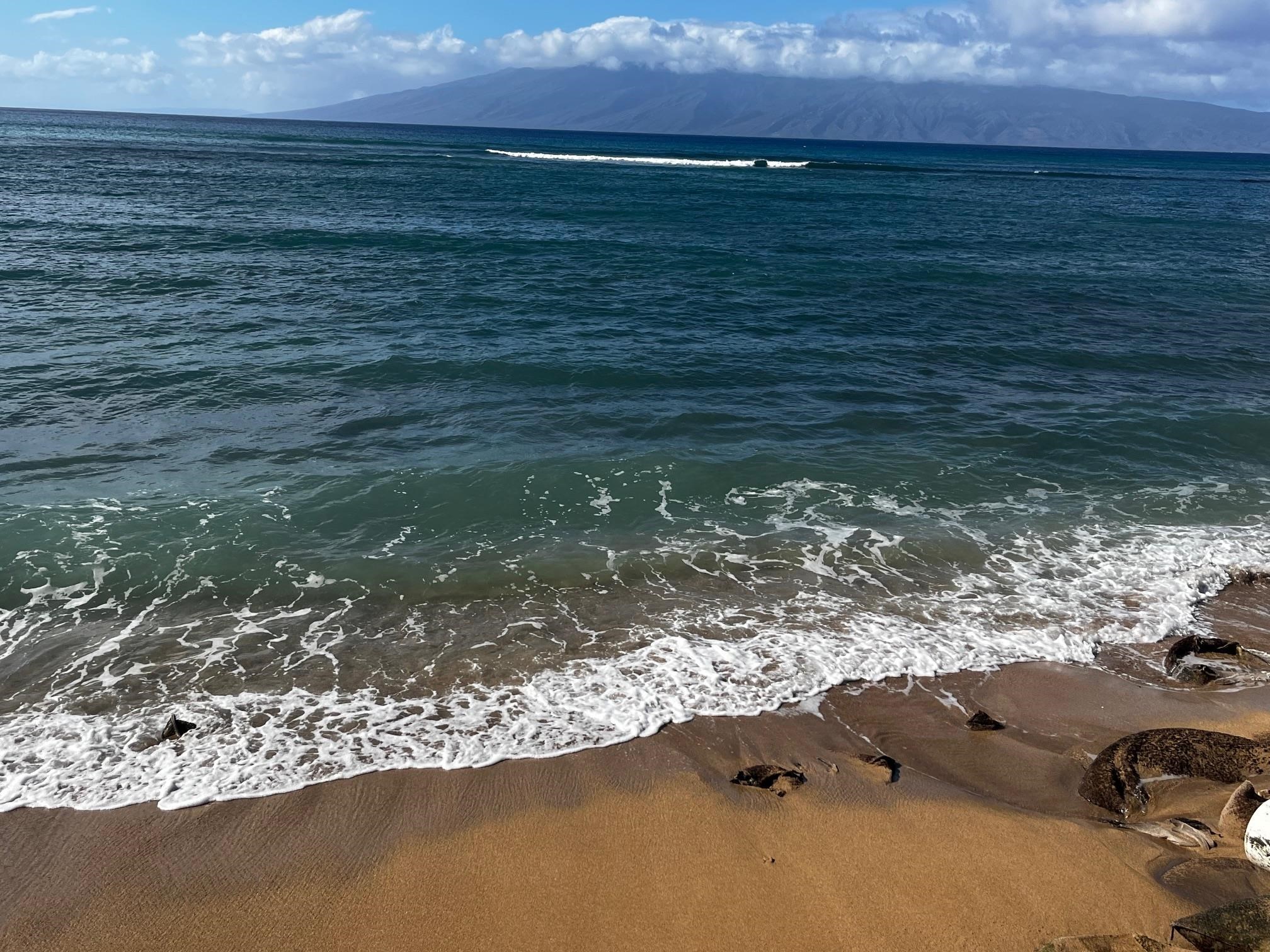 4327 Lower Honoapiilani Road, Unit 904B Lahaina, HI 96761 - Photo 8 of 8