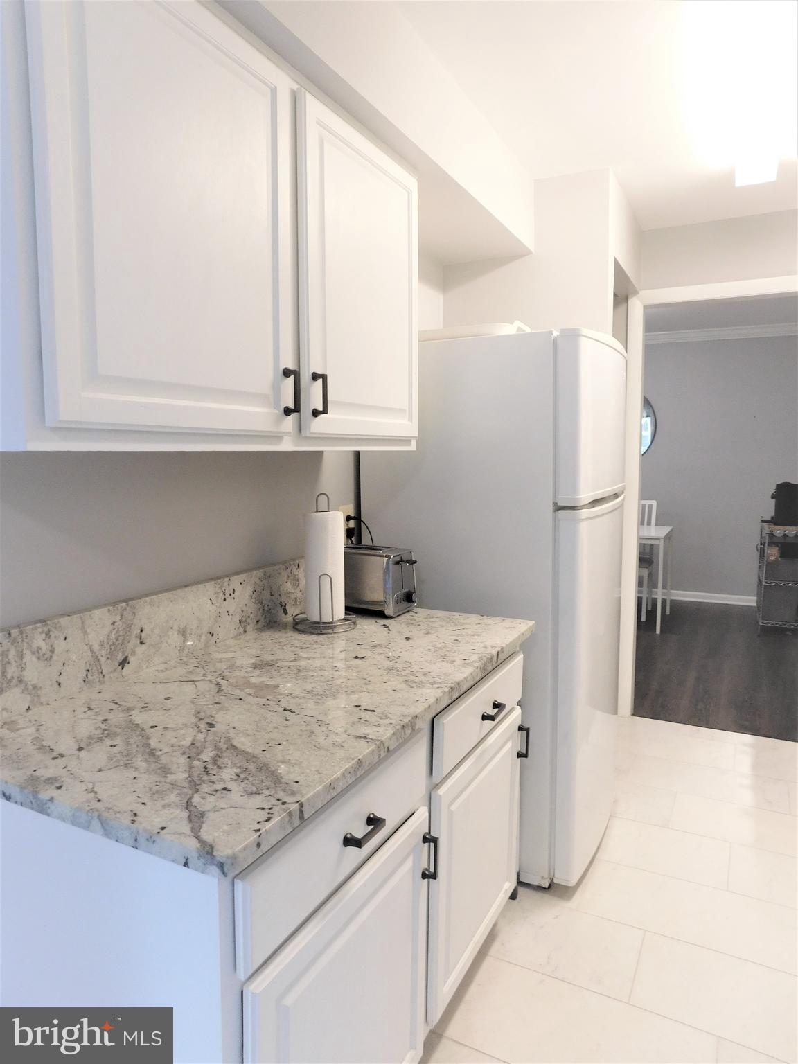 11244 Chestnut Grove Square, Unit 11244354 Reston, VA 20190 - Photo 14 of 40 Lots of Storage.