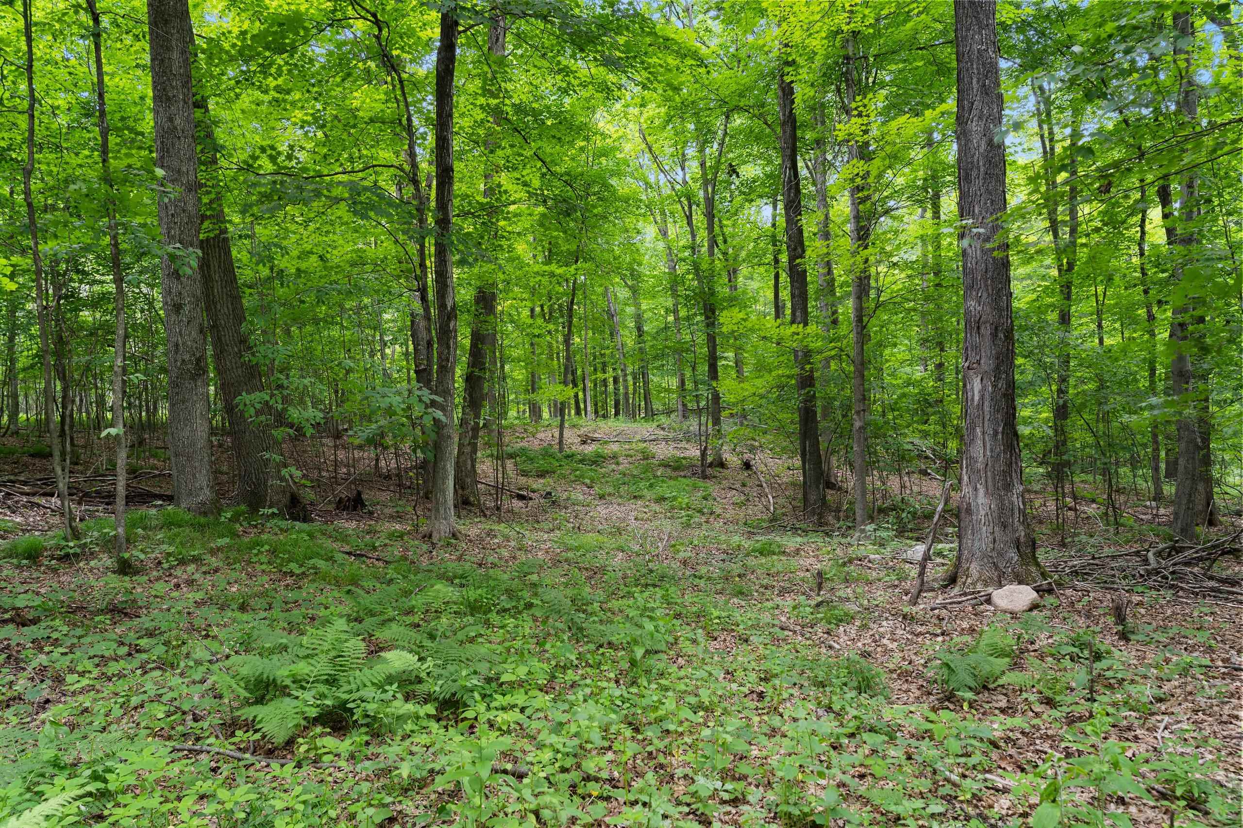 200800 Canopy Lane Rosholt, WI 54473 - Photo 23 of 90