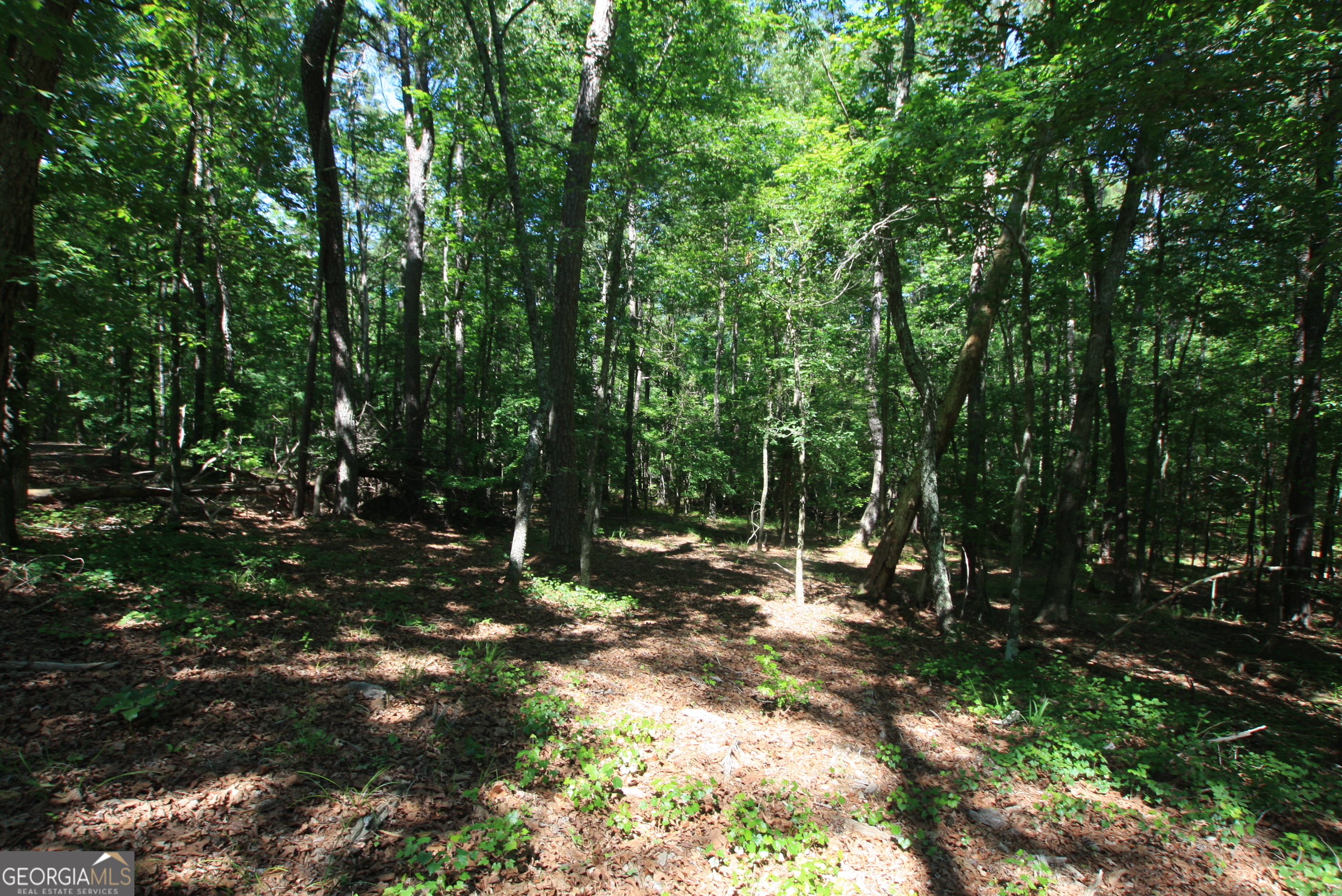 0 Mcgee Bend Road Rome, GA 30165 - Photo 5 of 33