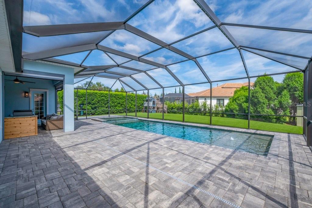 14908 Bassinger Lane Lithia, FL 33547 - Photo 40 of 56 a view of a backyard with a tv