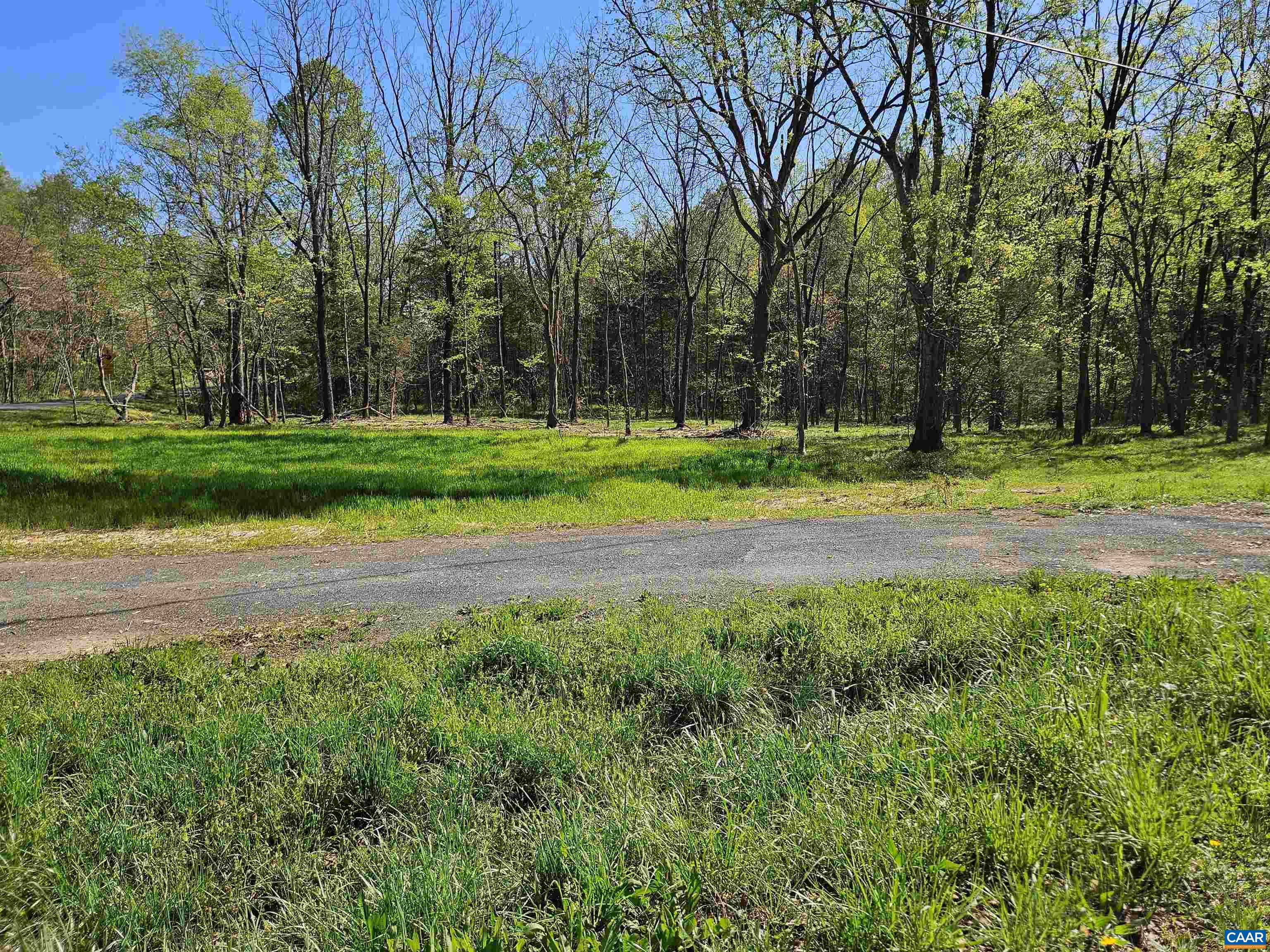 1.441-ac Physic Spring Road Dillwyn, VA 23936 - Photo 3 of 12 Gallery Image 3