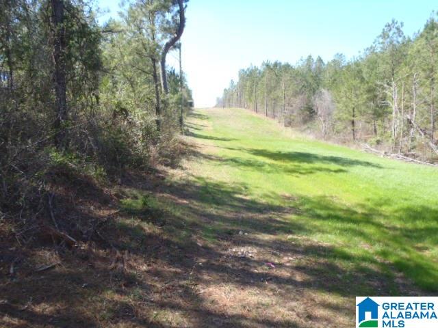 0 Shocco Springs Road, Unit 40 5 AC Talladega, AL 35160 - Photo 12 of 30