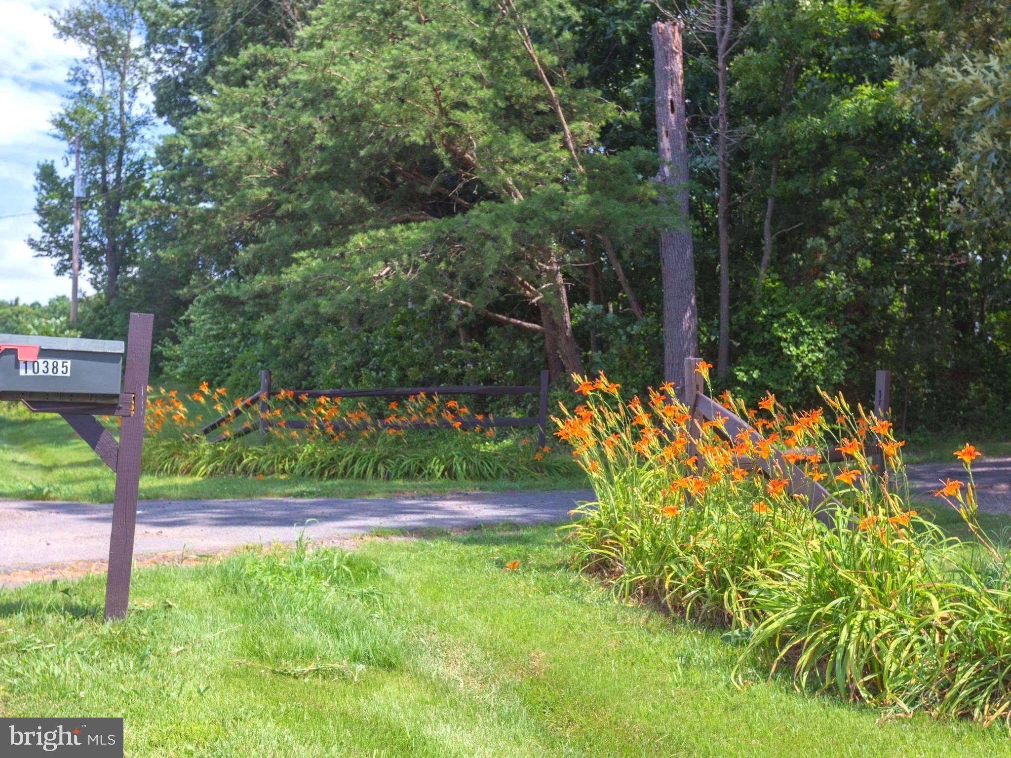 10385 Messick Road Midland, VA 22728 - Photo 2 of 30 Entrance