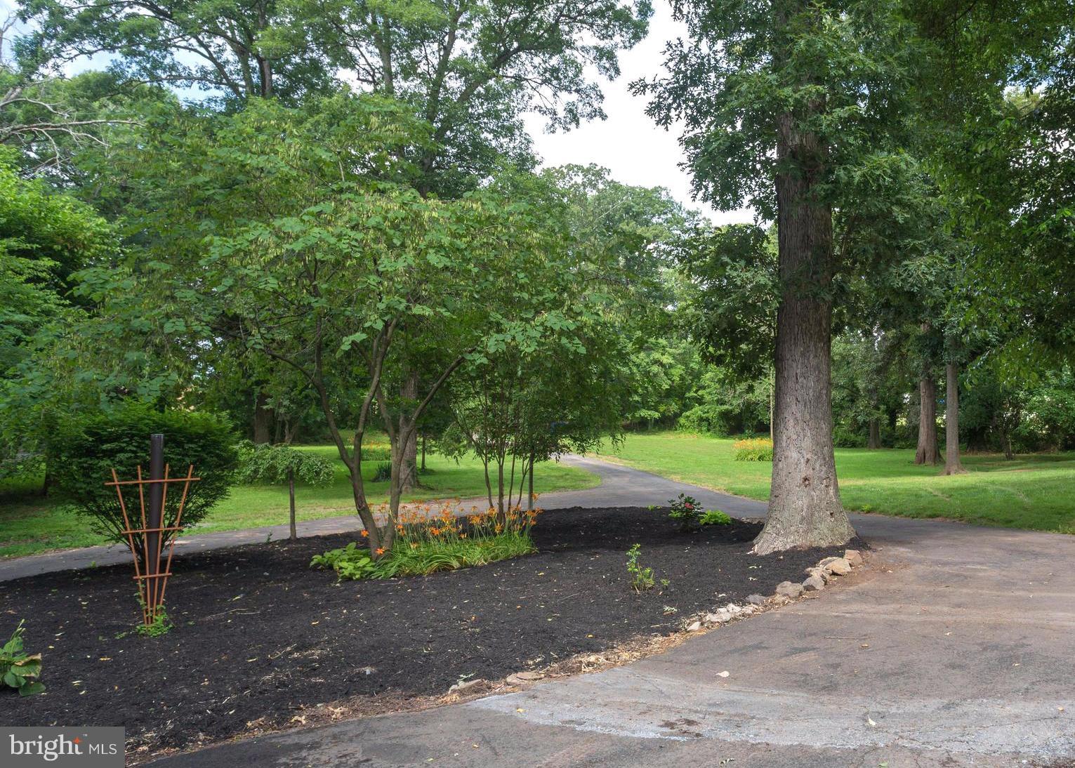 10385 Messick Road Midland, VA 22728 - Photo 29 of 30 Driveway