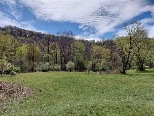 a view of a grassy field with trees in the background