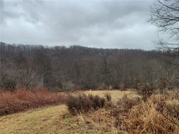 a view of a yard with trees