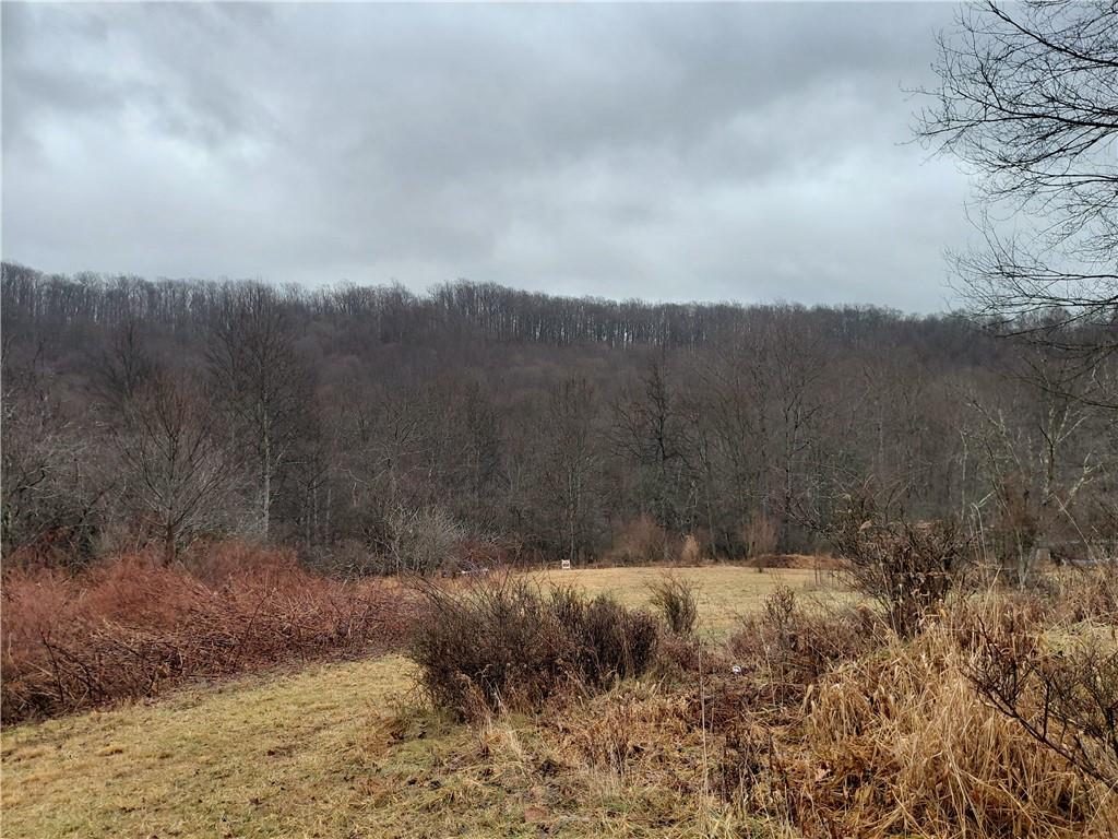 524 Patterson Bolivar, PA 15923 - Photo 3 of 4