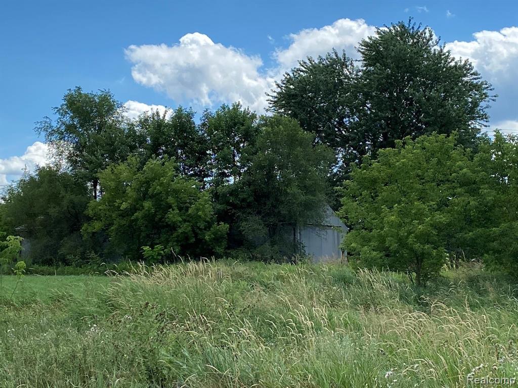 0 Lahring Road Linden, MI 48451 - Photo 10 of 10 Gallery Image 10
