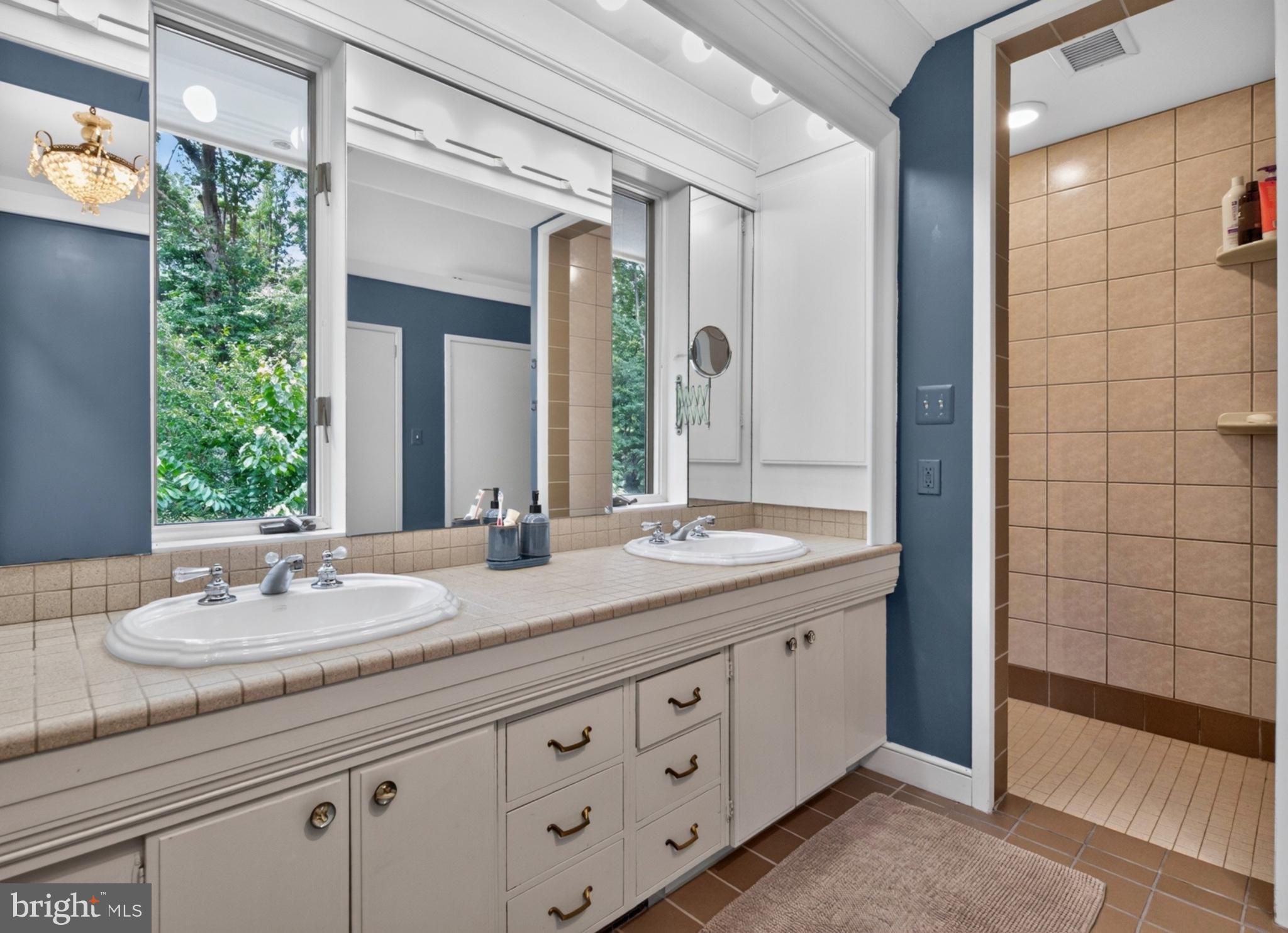 1118 Orchard Way Silver Spring, MD 20904 - Photo 54 of 56 Double sinks, walk-in shower and vanities