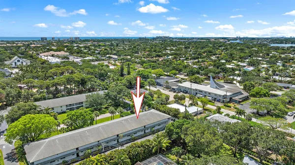 a view of a garden with plants